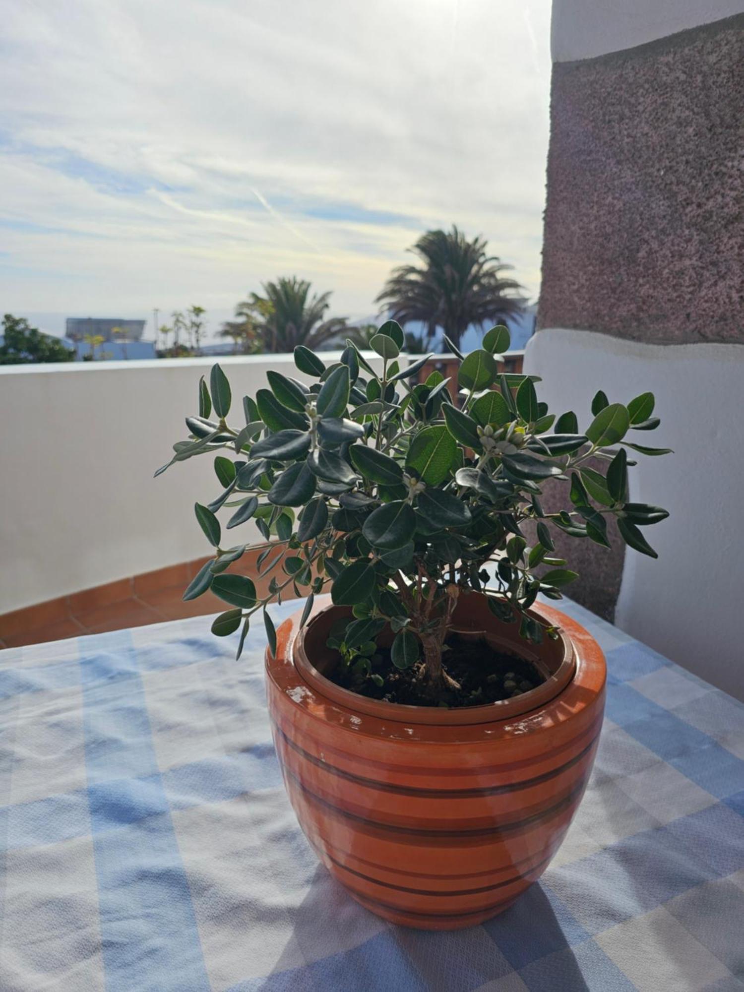 Casa Layka, Con Maravillosas Vistas Al Mar La Asomada  외부 사진